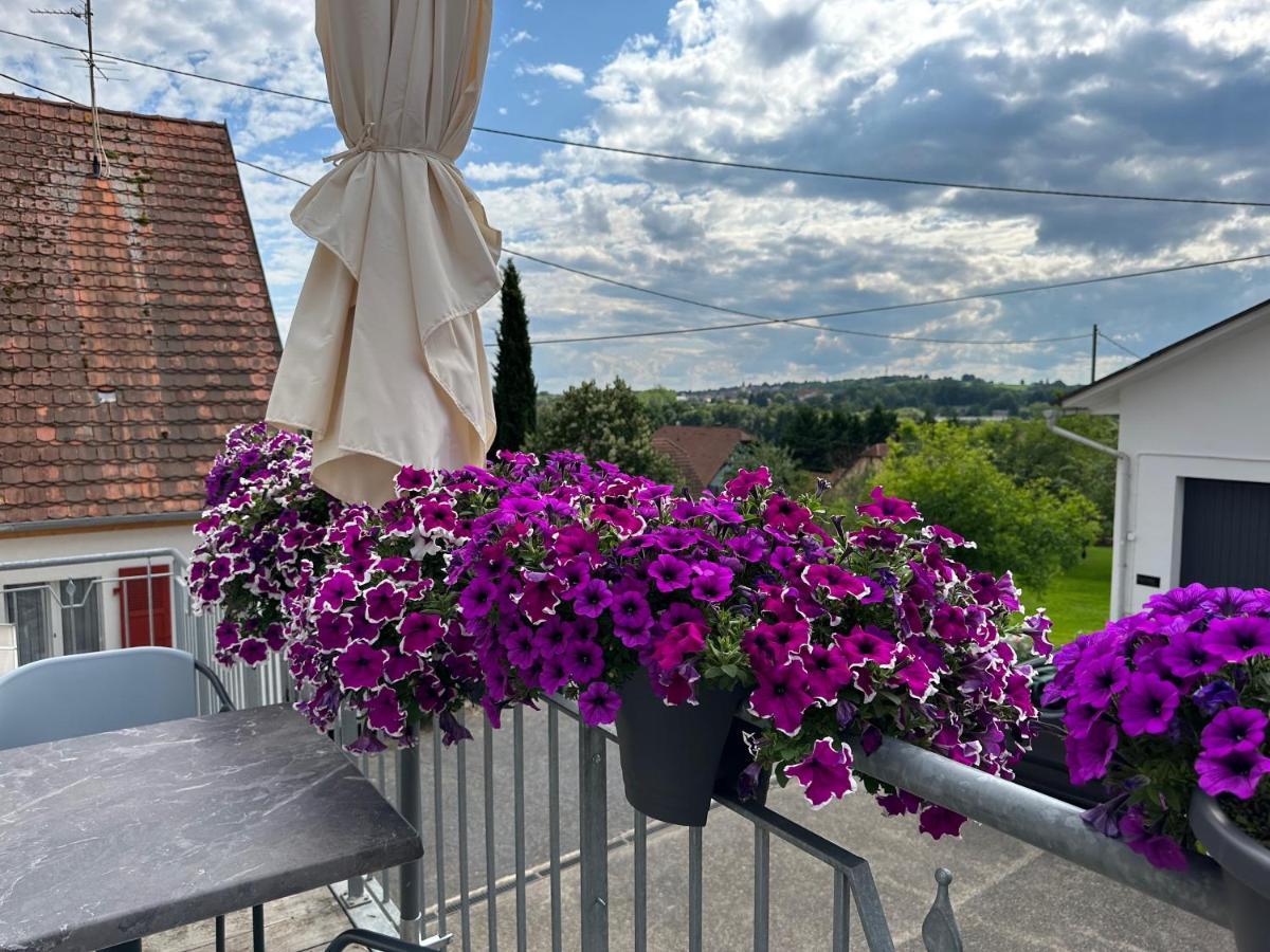 Apartamento Au Parfum Des Roses Gunstett Exterior foto